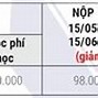 Trường Mca Nhật Bản Học Phí Thấp Nhất Là Bao Nhiêu